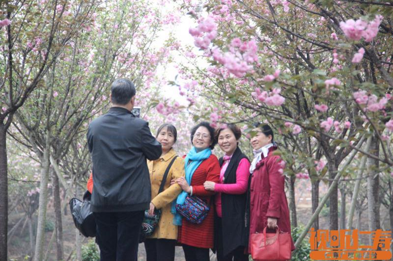 微信图片_20180323142336.jpg