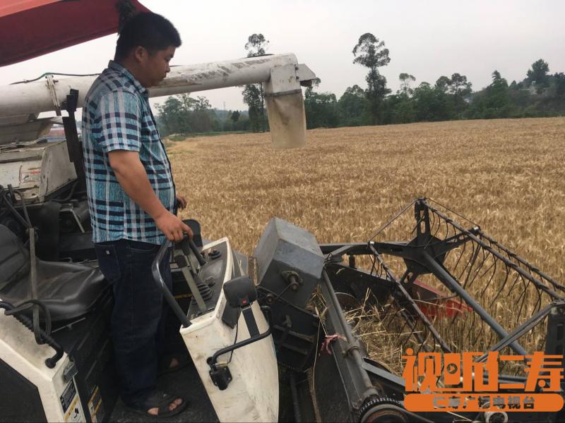 QQ图片20180505143819.jpg