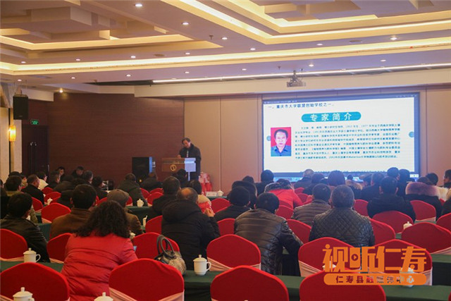 QQ图片20190118181134_副本.jpg