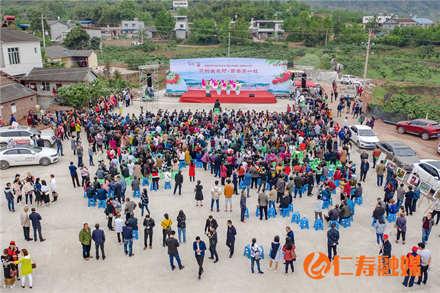 DJI_0180.jpg